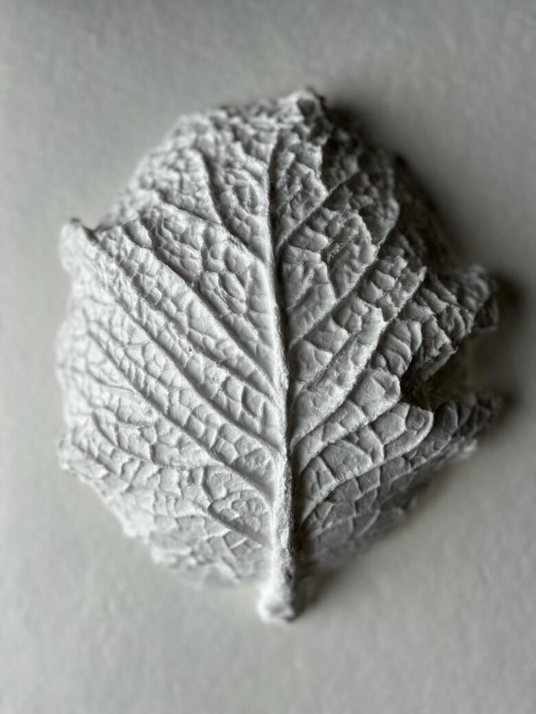 PAPER MASTERCLASS/ ONLINE Nr. 1