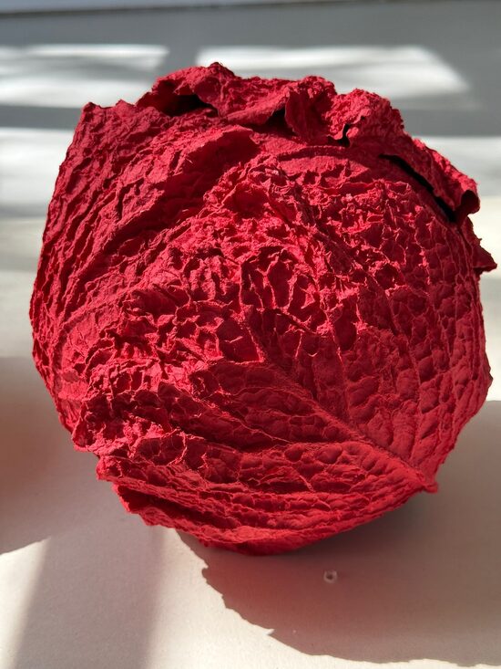 MY RED CABBAGE