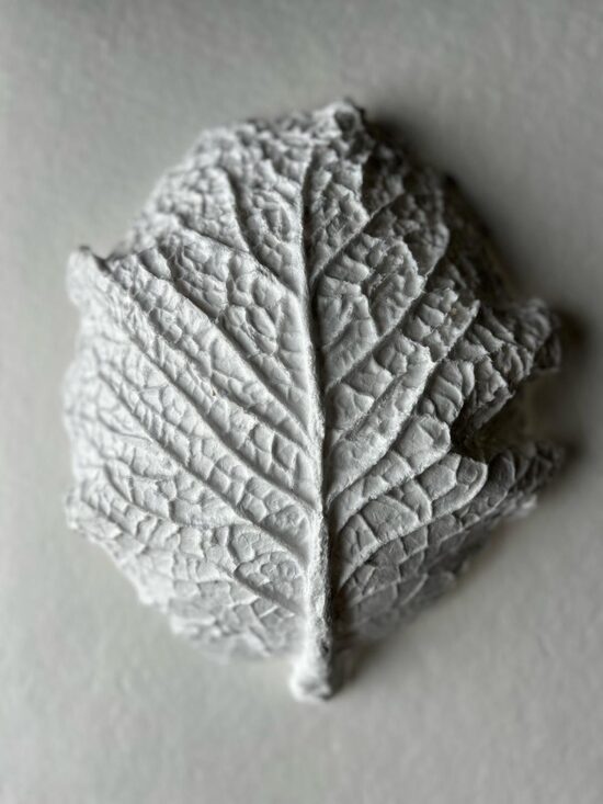 PAPER MASTERCLASS/ ONLINE Nr. 1